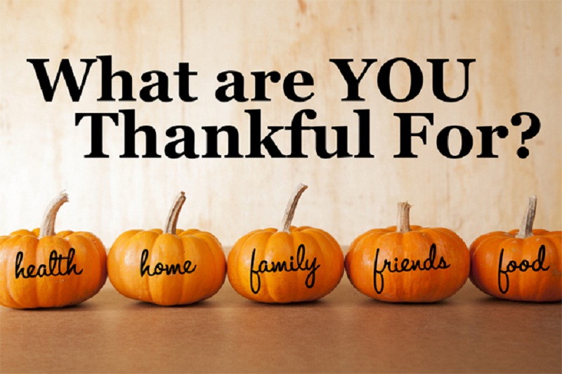 Pumpkins with thankful messages and question.